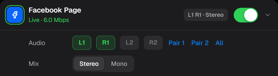 The real Audio setting on a Facebook destination: L1 and R1 chosen, Stereo